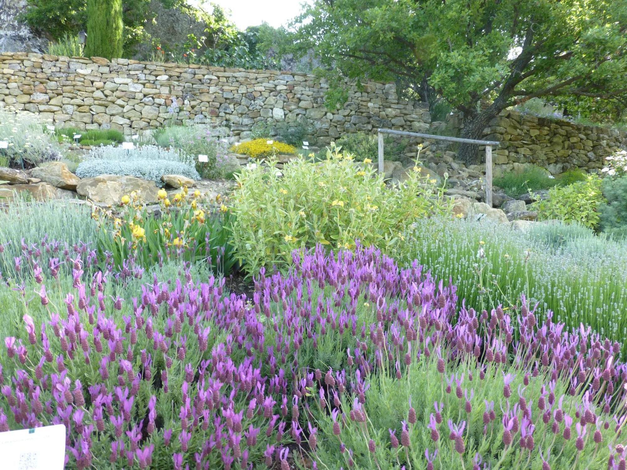 Les Jardins De L'abbaye Simiane-la-Rotonde