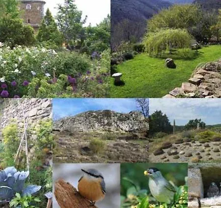Villa Les Jardins De L'Abbaye Simiane-la-Rotonde Habitación foto