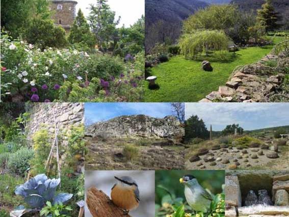 Les Jardins De L'abbaye Holiday home *